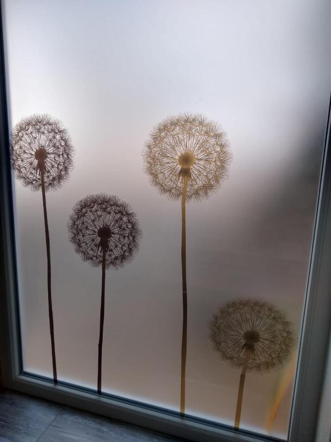 Ferienwohnung Pusteblume Müddersheim Vettweiß Exterior foto
